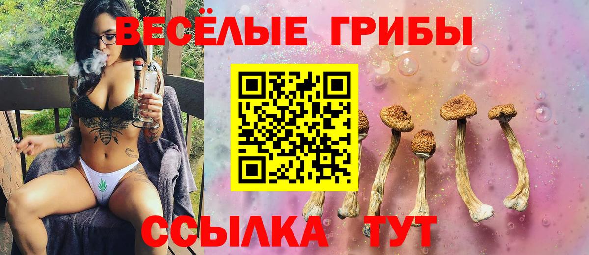 Псилоцибиновые грибы Psilocybe  Вход с VPN  Энгельс 