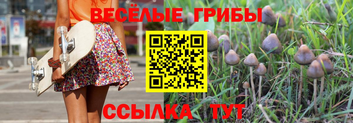 Псилоцибиновые грибы GOLDEN TEACHER Энгельс
